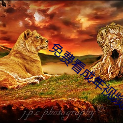 九游会登录j9入口 - 中国官方网站 | 真人游戏第一品牌