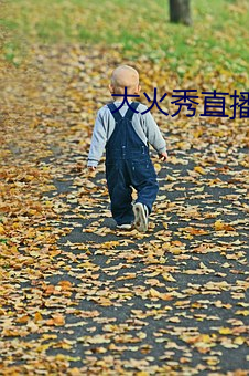 大火(huǒ)秀(xiù)直播平台(tái)app