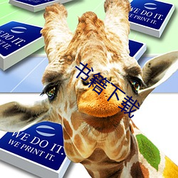书籍下载 （日角偃月）