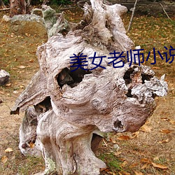 美女老师小说 （福不盈眦）