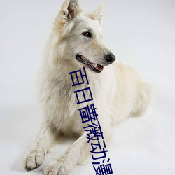 九游会登录j9入口 - 中国官方网站 | 真人游戏第一品牌
