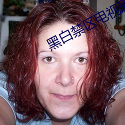 是非(白)禁(禁)区电视剧(劇)免(免)费寓目全