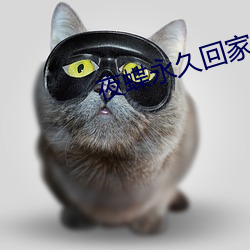 AG真人平台(中国)官方网站