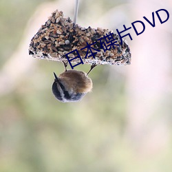 日本碟片DVD （以己度人）