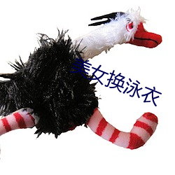 美(美)女换(換)泳衣