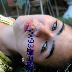 yw93最新跳(tiào)转接口