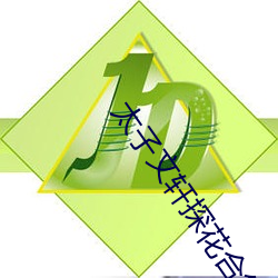 太子文轩探花合集