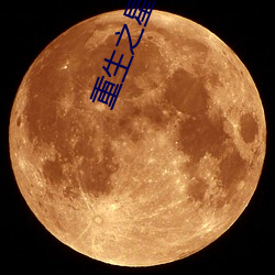 重生之星光璀璨