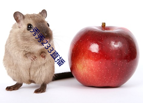 秀秀233直播