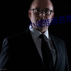 小说推荐言情