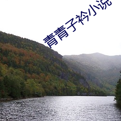 青青子衿小(xio)说