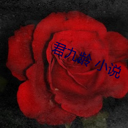 君九(九)龄 小说