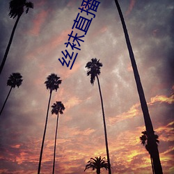 丝袜直播APP