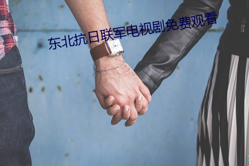 东北抗日联军电视剧免费观看 （一长一短）