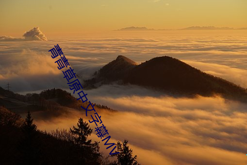 青(青)青(青)草原(原)中文字幕MV