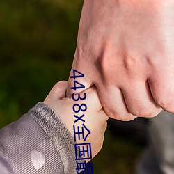 4438x全国最大