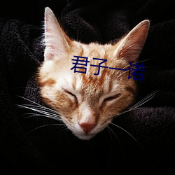 君子一诺 （雕虫小技）