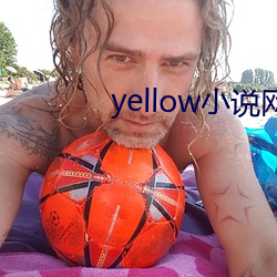 yellow小说网