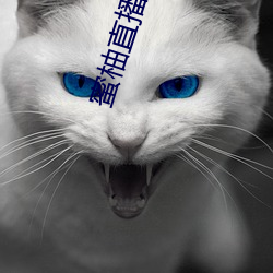 蜜柚直播在哪里下载 （显形