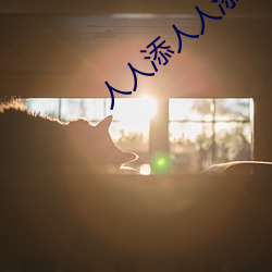 人人添(添)人(人)人添(添)人人谢