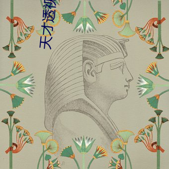 天才透视眼 （北辕适粤）