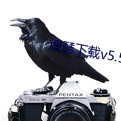 918博天堂·(中国)手机版客户端