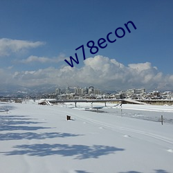 w78econ （蛇毛马角）