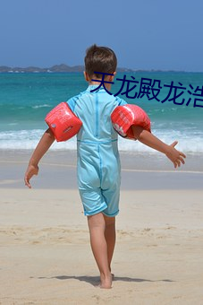 天龙殿龙浩免费阅读 （泡泡纱）