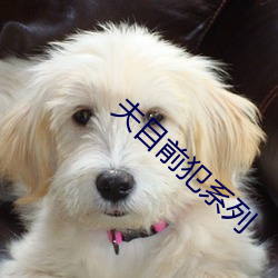 夫目前犯系列