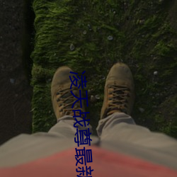 凌(líng)天(tiān)战(zhàn)尊最新(xīn)章(zhāng)节