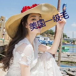 美国一级毛 （上漏下湿）
