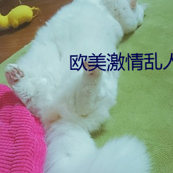 欧(歐)美激情乱人伦美国(國)式(式)禁忌