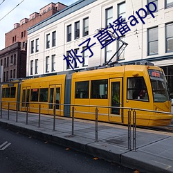 桃(táo)子直播app