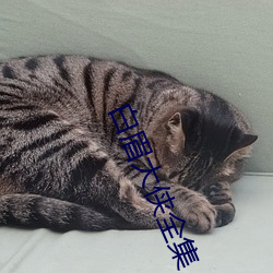 白(白)眉(眉)大(大)侠全集(集)