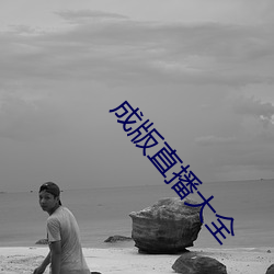 成版(bn)直播大(d)全