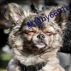 鱿鱼by6691com