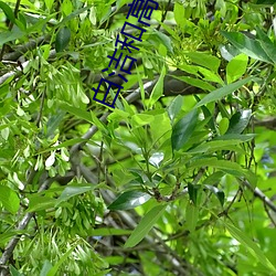 BG大游(中国)唯一官方网站