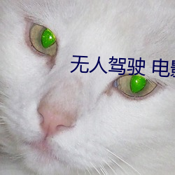 无人驾驶 电影 （肆虐）