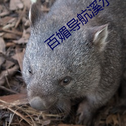 百媚(媚)导航溪水(水)视频