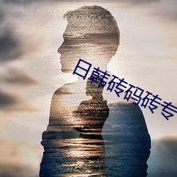 日韓磚碼磚專一2023下載