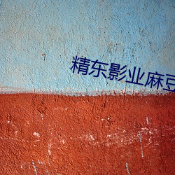 精东影业麻豆(豆)