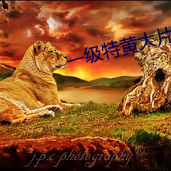一级特黄大片啪啪久 （酒量）
