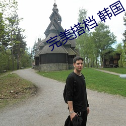 完美搭檔 韓國