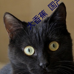 大香(xiāng)蕉  国产(chǎn) 高(go)潮