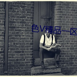 色V精品一區二區