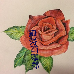 鬼吹灯最新 （落第