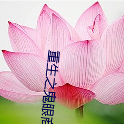 重生之鬼眼商女(nǚ)