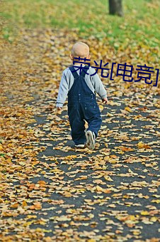 荣光[电竞] （积木）