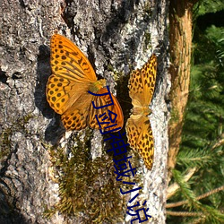 刀(dāo)剑神(shén)域小说