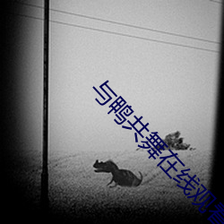 與鴨共舞在線觀看